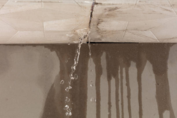 Professional Flood Damage Cleanup technician working in Palmyra, WI